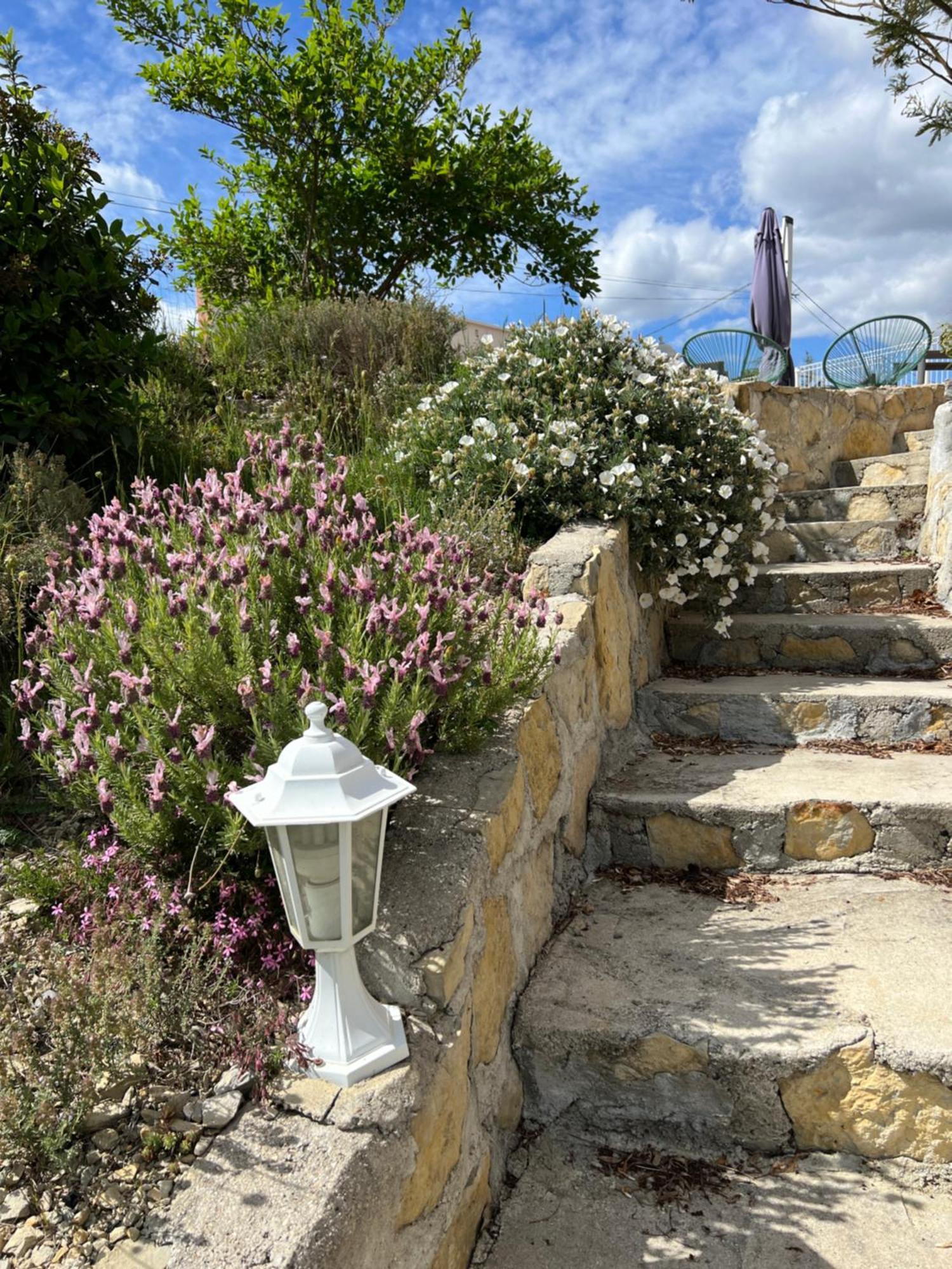 Le Gite Du Vigneron Lagorce  Exterior foto